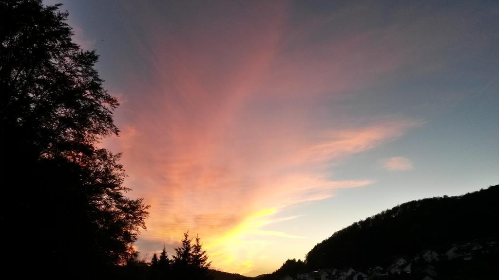 Landhotel Fasanenhof Eschwege Dış mekan fotoğraf