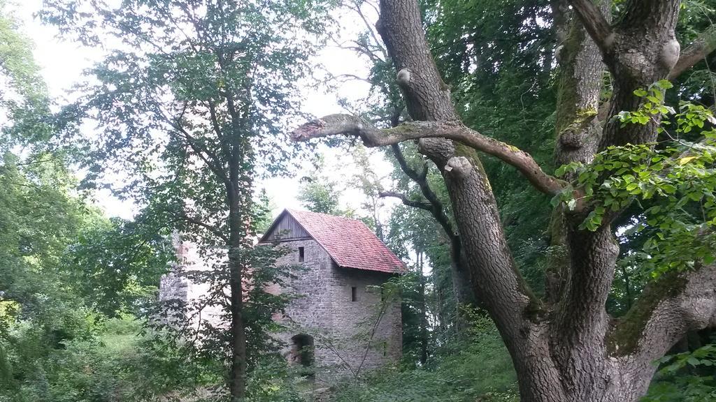Landhotel Fasanenhof Eschwege Dış mekan fotoğraf